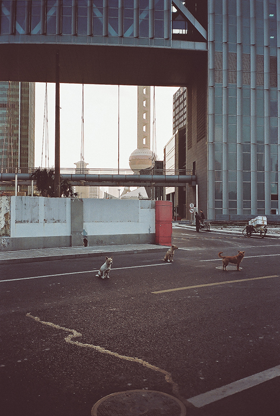 SH APOCALYPSE NOW_08